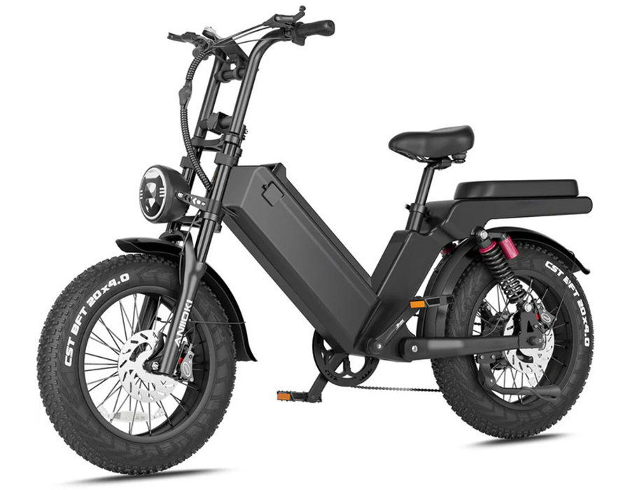 Green Gear Bike TurboGlide E-Bike Rent